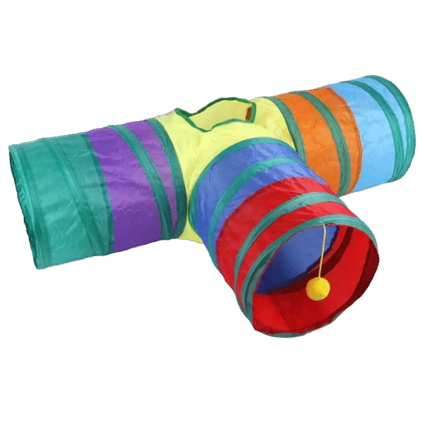 61On2EOKXSL._AC_SL1000.png