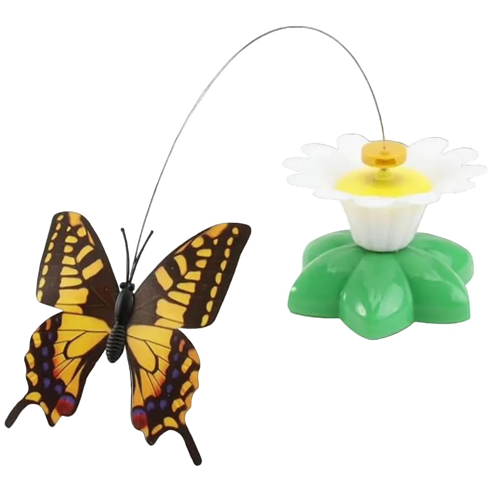 61YVg_w9N-L._AC_SX569.png Interactive Catching Toy for Cat Multi Color - Image 1