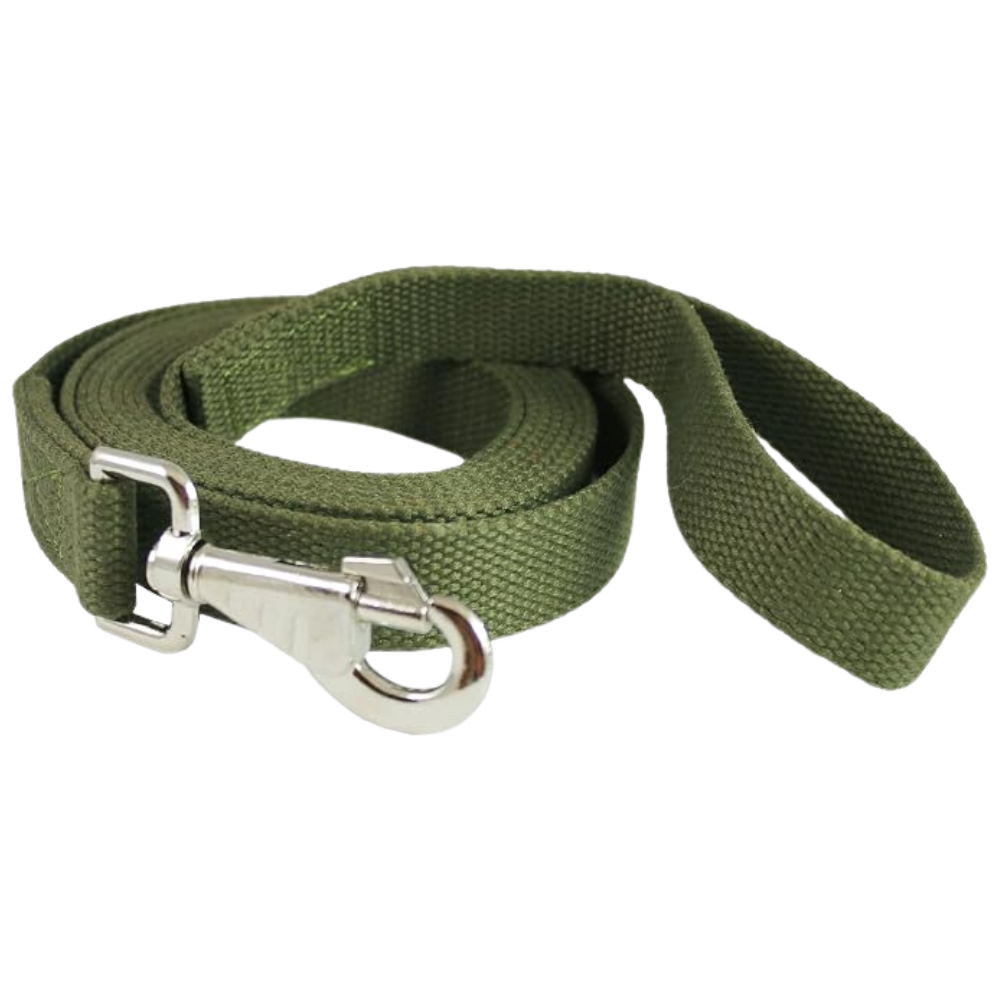 81jDWwhLroL_AC_SX679.png Dog Leash 5m - Image 1