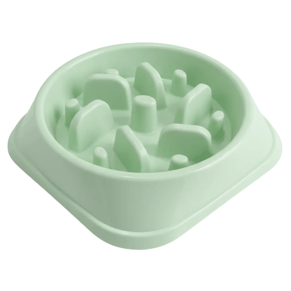 Gemini_Generated_Image_njaf91njaf91njaf.png Feeding bowl for Small Dogs and Cats - Image 1