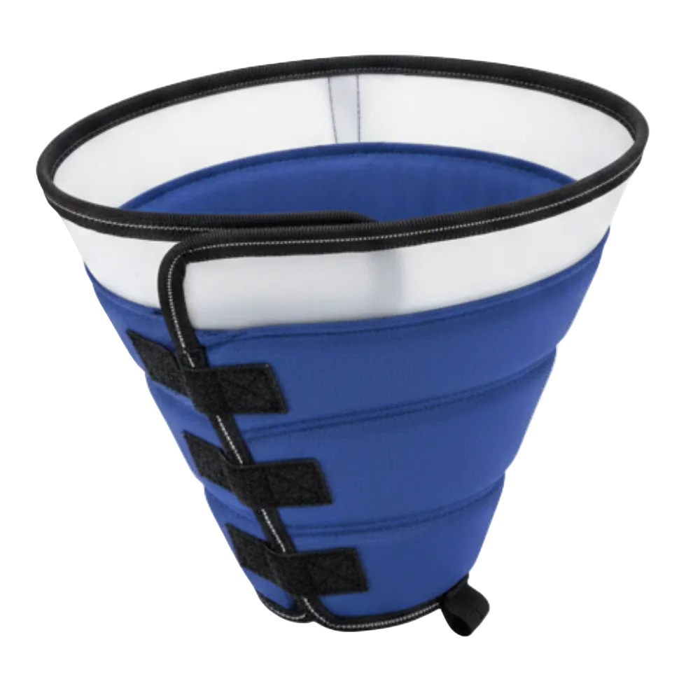 Gemini_Generated_Image_ujdet3ujdet3ujde_ea578d7a-b29e-4740-8960-0707ca4d37a9.png INKZOO Dog Cone Collar for After Surgery Soft Pet Recovery Blue size L - Image 1