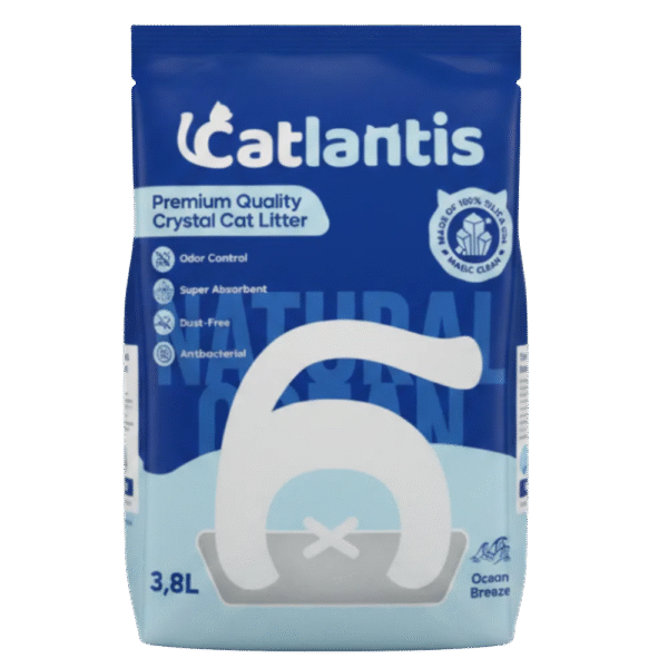 catlantis-blue-front_20260520090947552.png