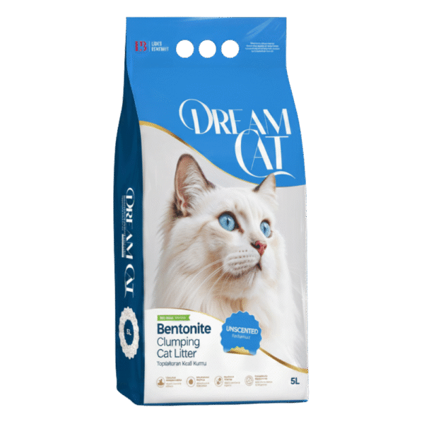 dream-cat-5l_20260622153231647.png