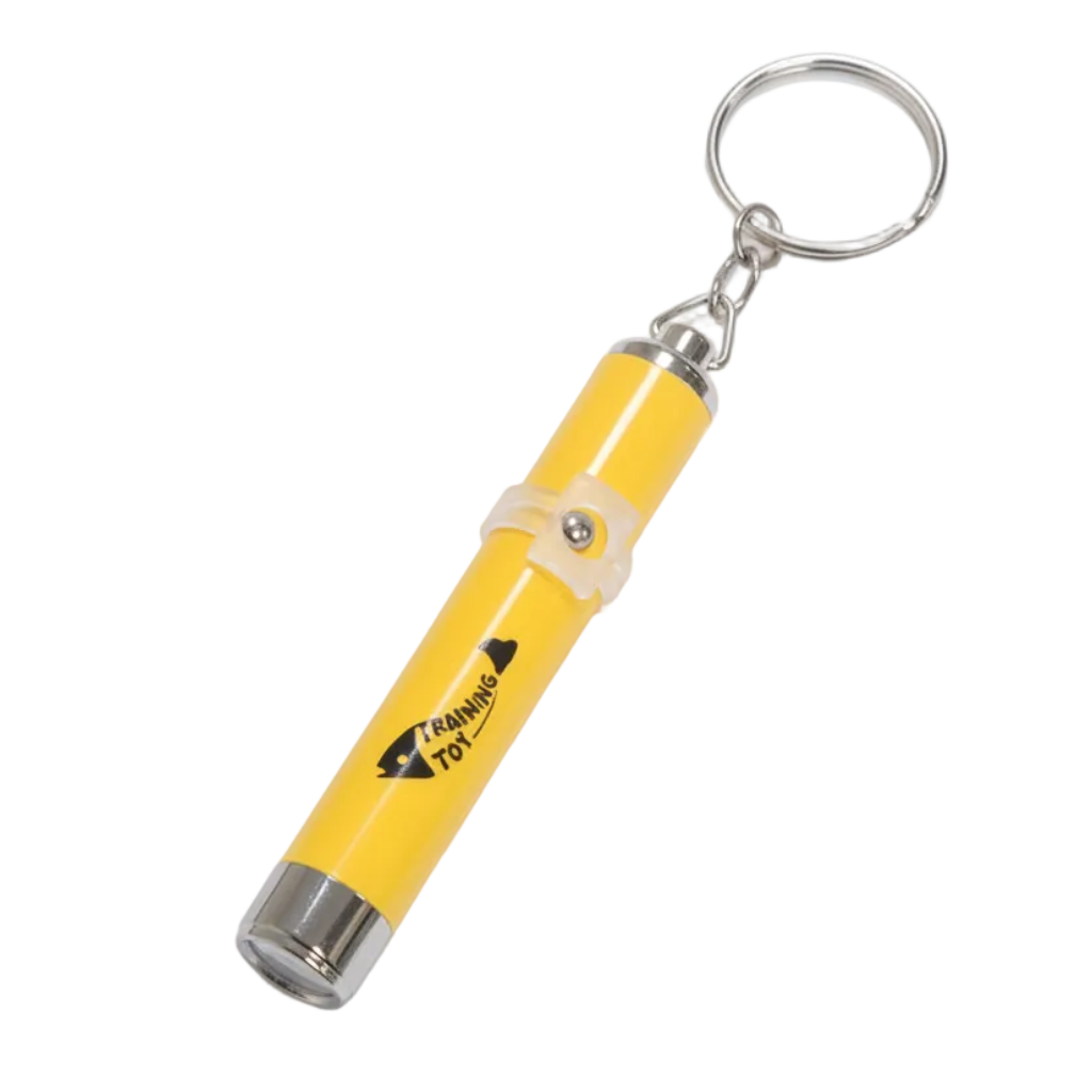led-laser-pointer-white-background-hq.png Pet Led Amusing Fish Spotlight Toy - Image 1