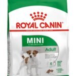 Royal Canin Mini Adult Small Breed Dry food dog 4kg