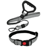 Bomei Pet Dog Leash & Collar