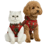 Petmoda Winter Christmas  Hoodie Snowflake