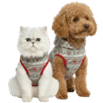 Petmoda Winter Christmas  Hoodie Snowman