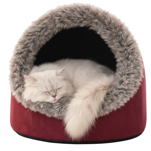 shopify_asset_4_4c5a2789-cb80-4fa4-a7a7-f80f0bda8e3f.png