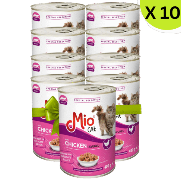 shopify_asset_7_065f6b1e-89ef-4ecd-909d-567c369816c2.png