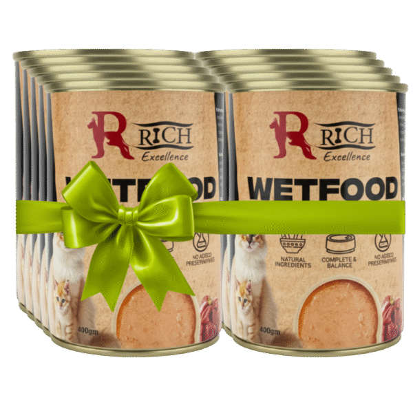 shopify_asset_9_3aa4e4f0-1286-46ab-a10c-2e5e3efdc2ec-1.png