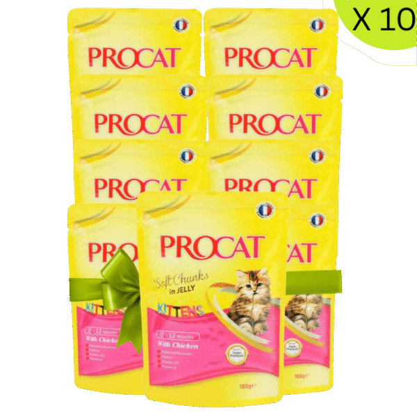 shopify_asset_9_a7cd5ecc-52c6-4366-a43c-8ded8dd73d49.png