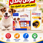 🐶🛡️ Flea & Tick Protection Duo – Stronger Protection, Bigger Savings! 🔥🎁