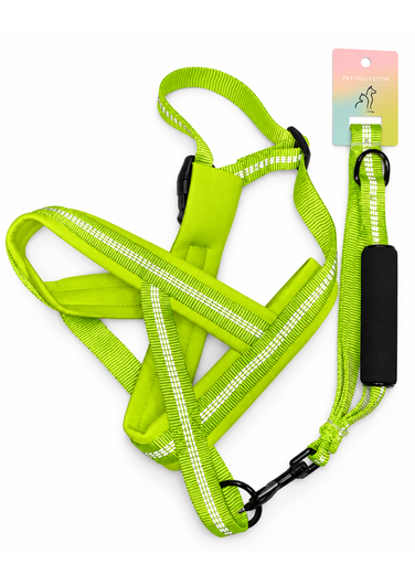 green-harness-leash-set-376x531 (1) LESH&PADDED HARNIES - Image 1