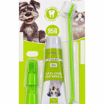 DENTAL CARE KIT 4 PCS
