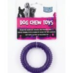 Orgo Durable Ring Dog Chew Toy for Dental Cleaning Purple