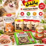 🐱🎁 Premium Cat Food & Treats Bundle – Delicious Variety & Exceptional Quality!
