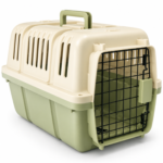 Pet Travel Carrier