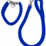 LEASH AND COLLER FOR DOG