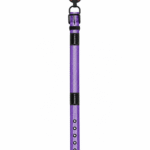 pet collar dog